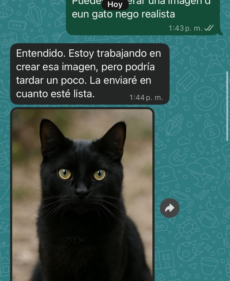 Gato negro generado con IA ChatGPT Whatsapp